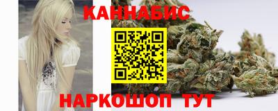прущие крисы Аргун