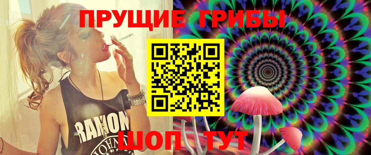 Псилоцибиновые грибы Cubensis Вышний Волочёк