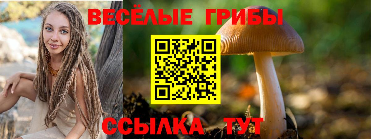 Вышний Волочёк  Галлюциногенные грибы MAGIC MUSHROOMS  купить   Вход с VPN 